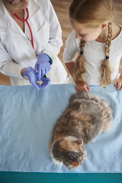 Mädchen hilft Tierärztin in Klinik — Stockfoto