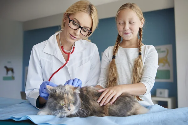 Flicka hjälpande veterinar i klinik — Stockfoto