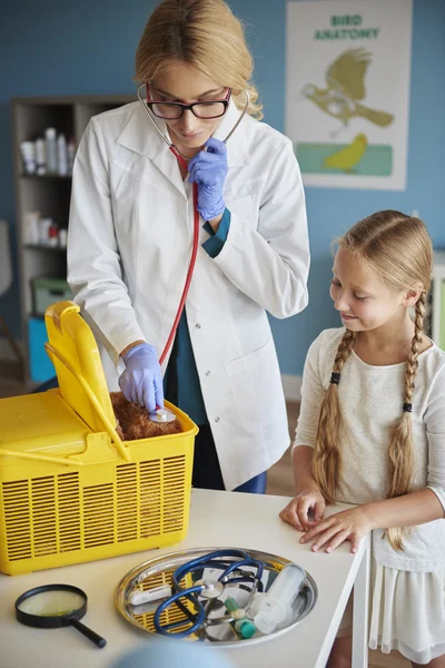 Mädchen hilft Tierärztin in Klinik — Stockfoto