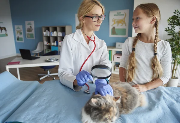 Flicka hjälpande veterinar i klinik — Stockfoto