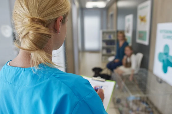 Im Tierheim, Tierklinik — Stockfoto