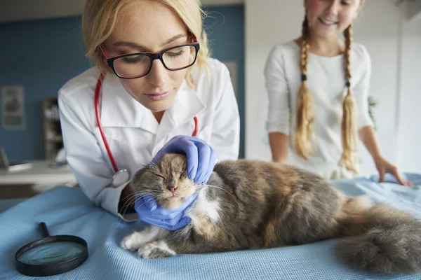 Mädchen hilft Tierärztin in Klinik — Stockfoto