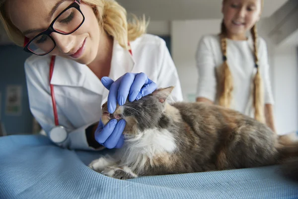 Mädchen hilft Tierärztin in Klinik — Stockfoto