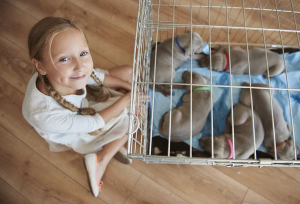 Liten flicka i veterinärklinik — Stockfoto