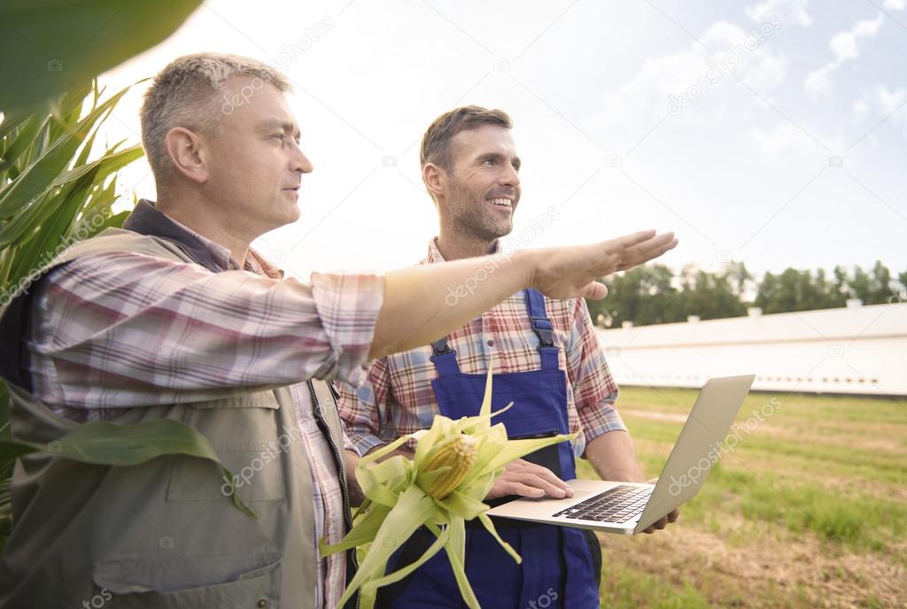 farmers Talking about their corn field