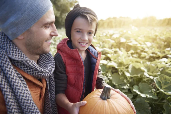 Pai e filho Escolhendo abóbora perfeita no Halloween — Fotografia de Stock