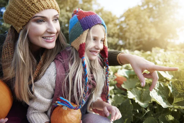 Mère et fille sur le champ de citrouille — Photo