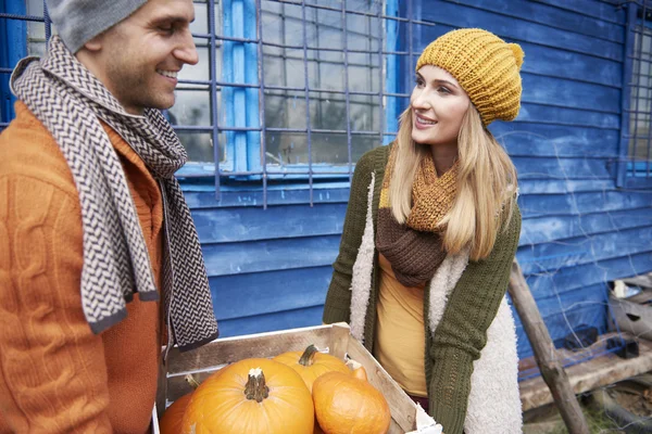 Couple spending time on pumpkin field — Stock Photo, Image