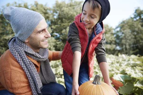 Pai e filho Escolhendo abóbora perfeita no Halloween — Fotografia de Stock