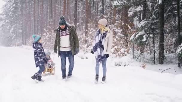 Видео Родителей Детьми Гуляющими Замерзшем Зимнем Лесу Съемка Красной Гелиевой — стоковое видео