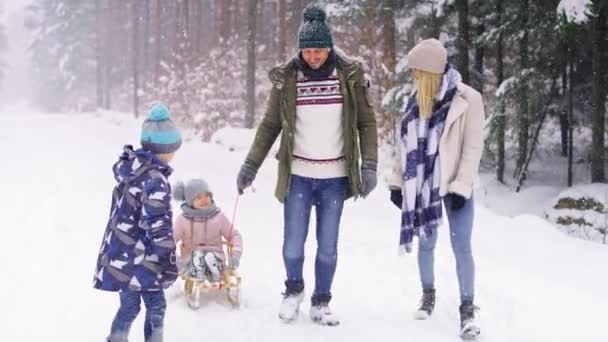 Família Puxando Trenós Através Neve Floresta Tiro Com Câmera Hélio — Vídeo de Stock