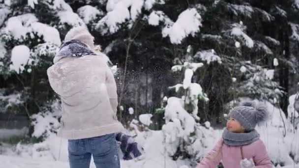 母と2人の子供の雪玉の戦いのビデオ 8Kでレッドヘリウムカメラで撮影 — ストック動画