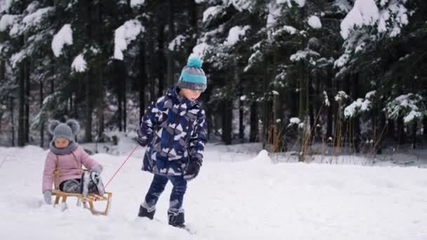 Хлопчик Тягне Санки Маленькою Сестрою Сніг Знімок Гелієвою Камерою Red — стокове відео