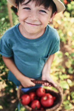 Elinde bir sepet domatesle gülümseyen çocuk manzarası                               