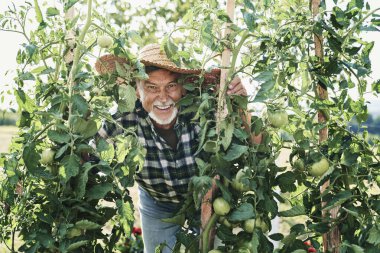 Sebze bahçesindeki mutlu çiftçinin portresi                               