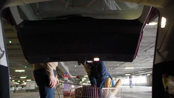 Frontansicht Eines Pärchens Beim Packen Von Taschen Kofferraum Eines Autos — Stockvideo
