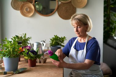 Yaşlı kadın bitkiler için gübre kullanıyor.                               