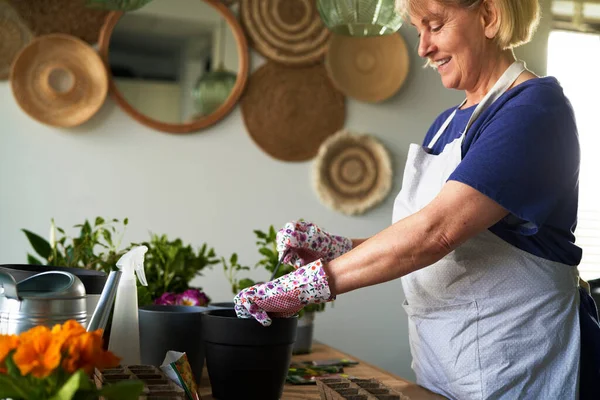 Lächelnde Seniorin Pflanzt Blumen — Stockfoto