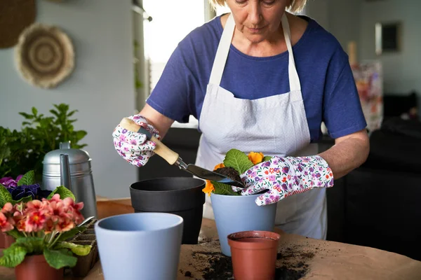 Ηλικιωμένη Γυναίκα Που Φυτεύει Φυτά Στο Σπίτι — Φωτογραφία Αρχείου