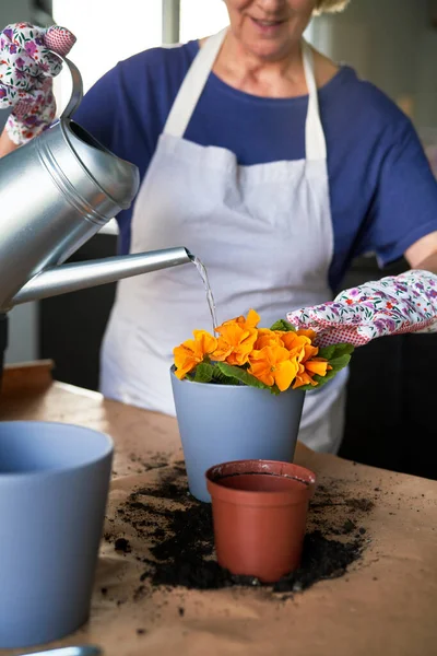 Großaufnahme Einer Frau Die Frisch Gepflanzte Blumen Gießt — Stockfoto