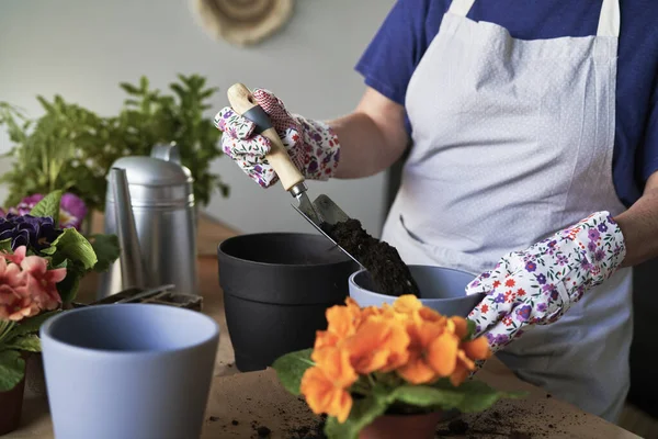 Woman Taking Care Her Houseplants — Stock Photo, Image