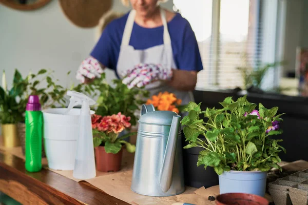 Table Full Potted Plants Herbs — Stock Photo, Image