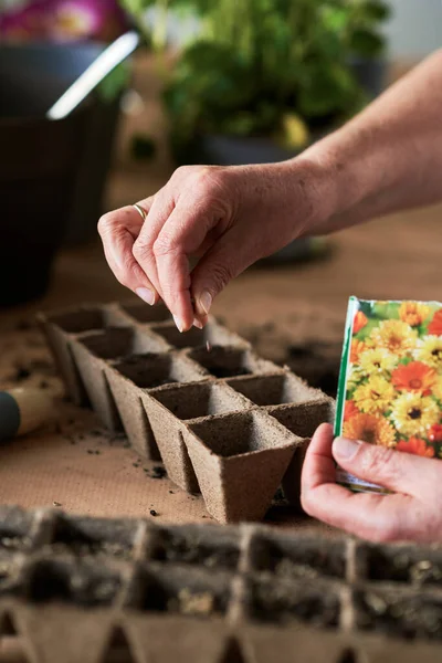 Close Hand Sows Flower Seeds — Stock Photo, Image