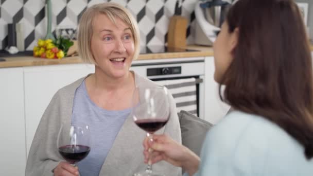 Ruční Video Dvou Generací Žen Které Mluví Pijí Víno Snímek — Stock video
