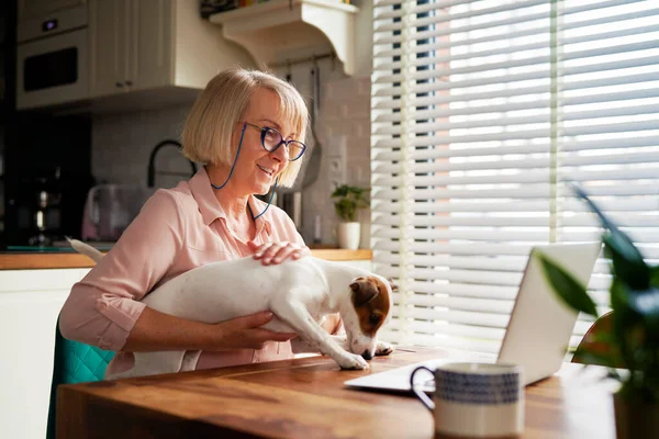 Mulher Sênior Com Cão Usando Laptop Casa — Fotografia de Stock