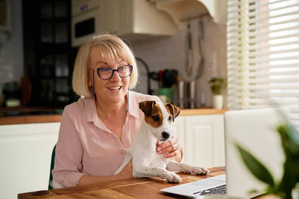 Donna Anziana Attiva Con Cane Che Lavora Ufficio — Foto Stock