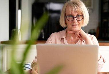 Evde dizüstü bilgisayar kullanan yaşlı bir kadının ön görüntüsü                               