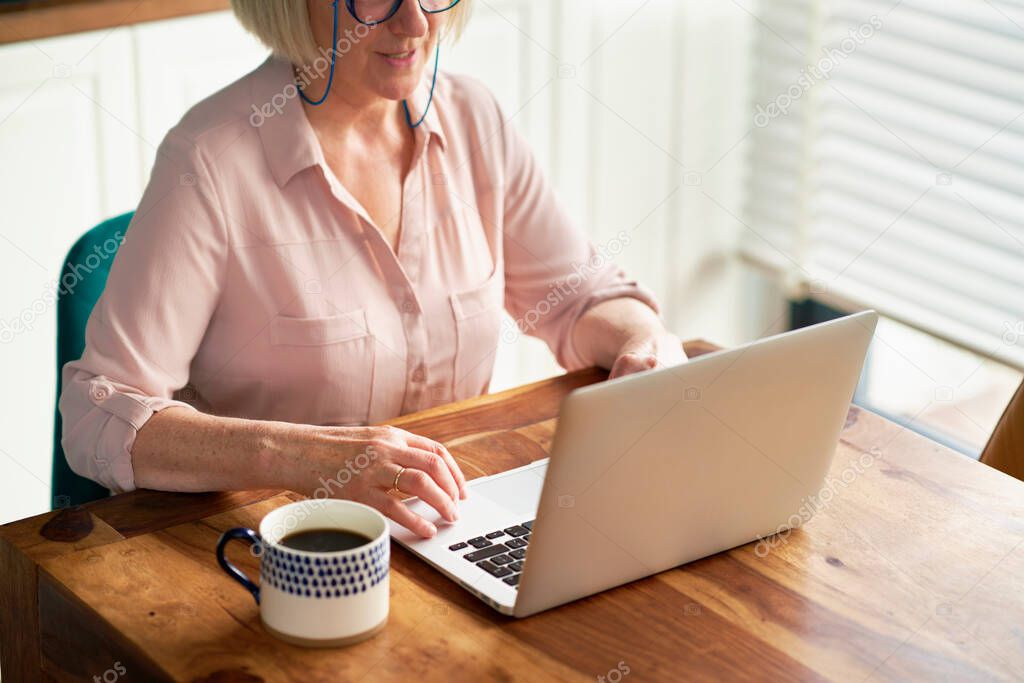 Close up of senior woman using laptop at home                               