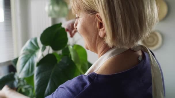 Крупный План Пожилой Женщины Распыляющей Растение Горшке Съемка Красной Гелиевой — стоковое видео