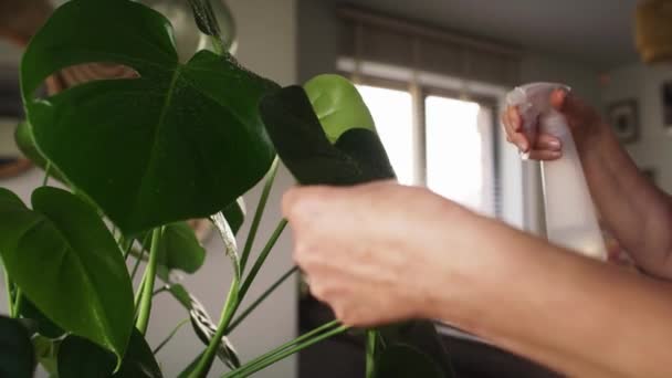 Gros Plan Vidéo Pulvérisation Plantes Pot Tourné Avec Caméra Hélium — Video