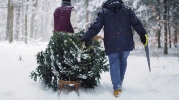 Keluarga Mempersiapkan Diri Untuk Waktu Natal — Stok Video