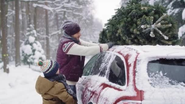 儿子把圣诞树装进车顶的男人 — 图库视频影像