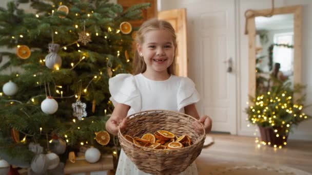 Retrato Menina Bonito Com Decorações Naturais Natal Tiro Com Câmera — Vídeo de Stock