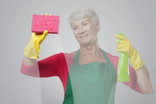 Mujer con equipo de limpieza — Foto de Stock