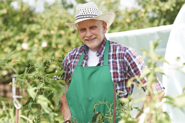 Homme qui travaille dur dans le jardin — Photo