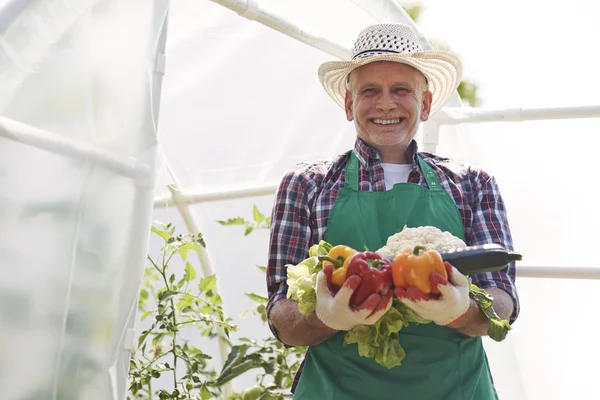 Man hardwerkende in de tuin — Stockfoto