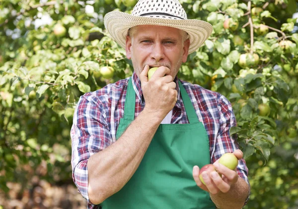 Mann arbeitet fleißig im Garten — Stockfoto