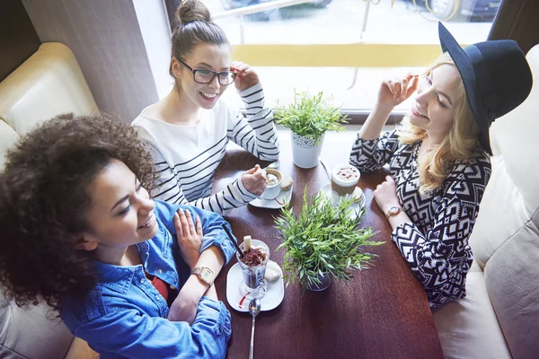 Vänner möte på café — Stockfoto