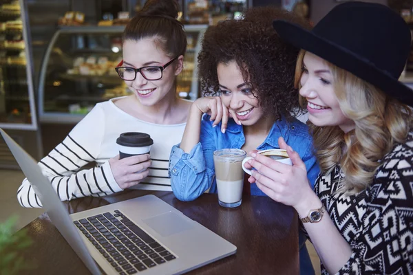 Meninas usando laptop — Fotografia de Stock