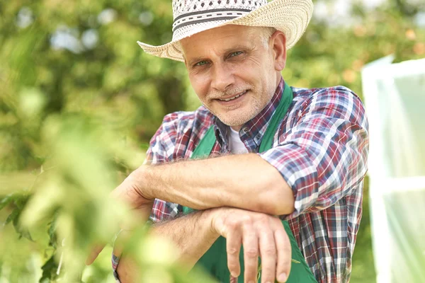 Jardineiro de pé e sorrindo — Fotografia de Stock