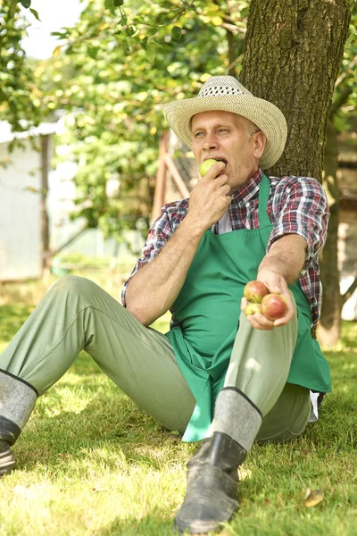 Садовник сидит под яблоней — стоковое фото