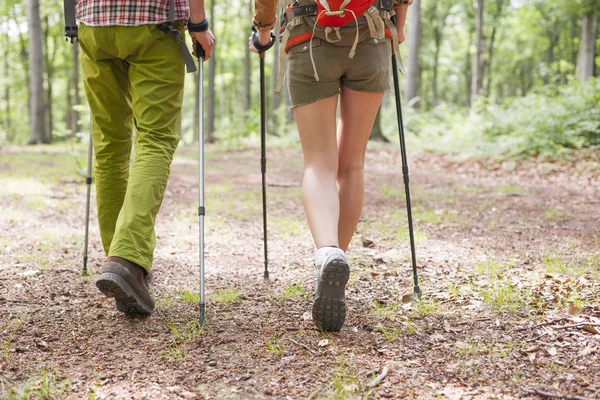 Goed weer om te wandelen in het bos — Stockfoto