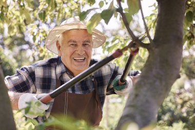 Komuta sizde bahçede çalışan