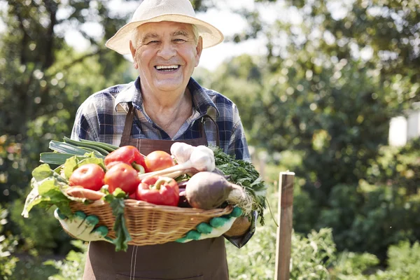 Senior man with organic vegetables — Stock Photo, Image