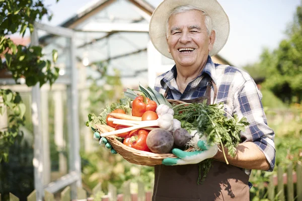 Homem idoso com legumes orgânicos — Fotografia de Stock