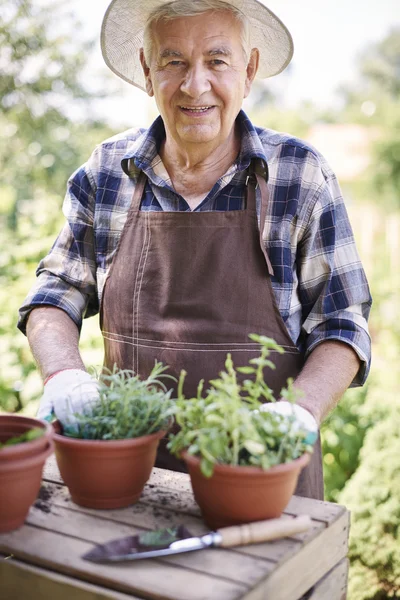 Senior man aan het werk in de tuin — Stockfoto